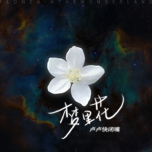 成人免费看片❌❌❌amp39
